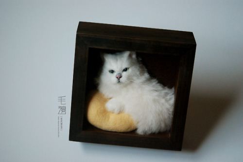 ▋ Chinchilla Cat ( custom-made )　Pet Portrait  Frame is approximately 18 x 18 cm