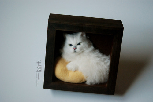  ▋ Chinchilla Cat ( custom-made ) 　 Pet Portrait  Frame is approximately 18 x 18 cm 