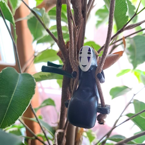 J'ai Trouv Un Joli Petit Compagnon Pour Mes Plantes, J'espre Qu'il N'aura Pas Trop Faim...