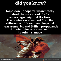 did-you-kno:  Napoleon’s nickname of ‘le petit caporal’ added to the confusion because some mistakenly interpret ‘petit’ as meaning &lsquo;small,’ but it was used as an affectionate term regarding his camaraderie with ordinary soldiers. He