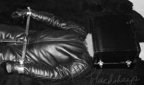 1blacksheep2:Leather biker stocked, locked and boxed…