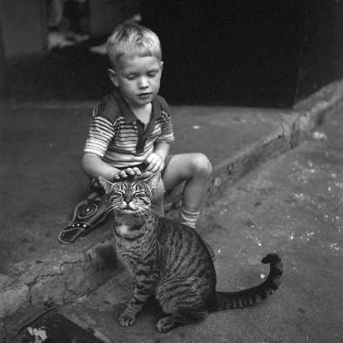 Not every little boy has a dog. Some have cats. 1954.Photo: Vivian Maier via vivianmaier.com