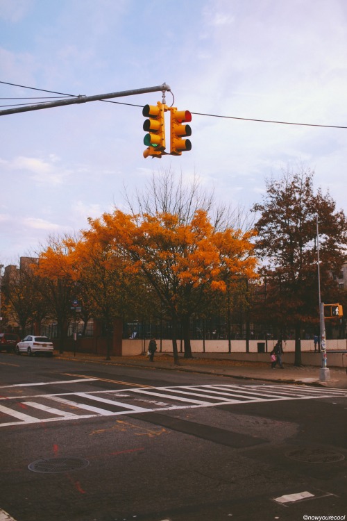 now-youre-cool:  Orange and Yellow 