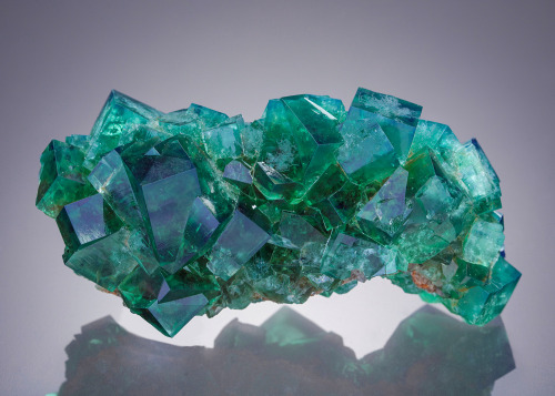 vugnasmineralblog: Fluorite Papa Pocket,