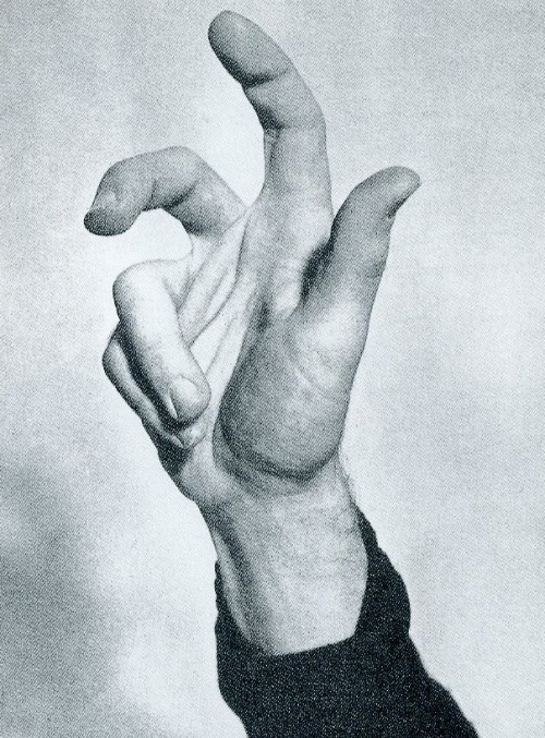 losed:  Bruno Munari 