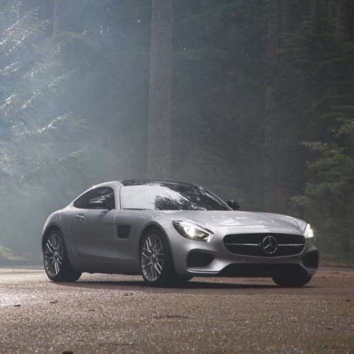 drivingbenzes:  Mercedes-Benz AMG GT (Instagram @strombergtherevr)