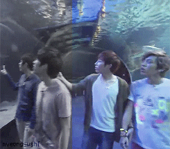 myeongsushi:  Meanwhile, hamster Gyu-nim….. 