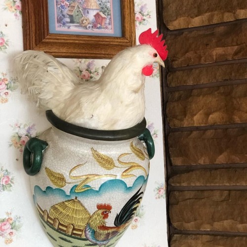 Dave wants this for our house. chicken diner decor #chickendecor #chickendecoration #simplefarmhouse