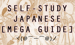 asdfghjkslol:  Sup guys, Tenka (Aka Ponzorz) here - I said I’d write a post about how I self studied Japanese, sooooo I guess this is it. I learnt Japanese from Zero to Fluent in about 2.5 years, and this is my method. It’s probably not the most interesti