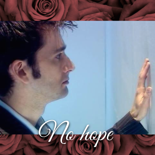 tenxrosetyler:“…No happy ending. This is the way that we love Like it’s forever Then spend the rest