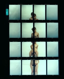nevver:  Gone to pieces, Dario Argento 
