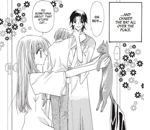 fruits basket | endless favorite manga moments