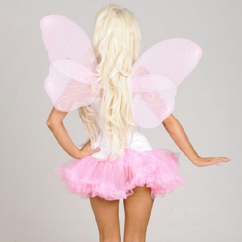 smartgirlsareboring: moretitsthanbrains:Every girl is a princess Barbie fairie! Every girl worth kno