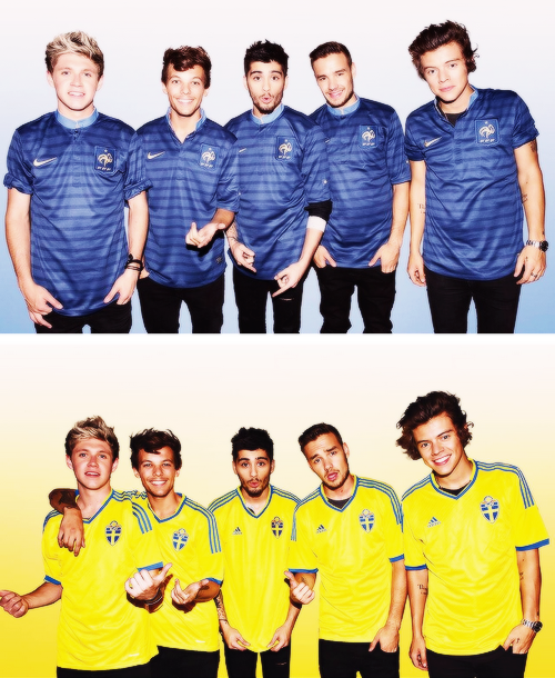  One Direction - Where We Are Tour 