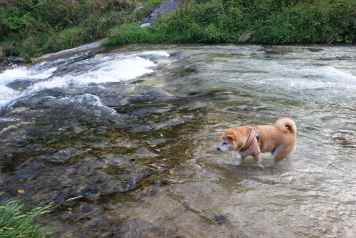 meltakposts:Rough water …much afraid
