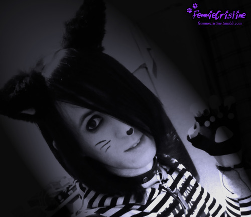 I’m so pro with Adobe Photoshop =D jk lol ._. meow? =^^= 