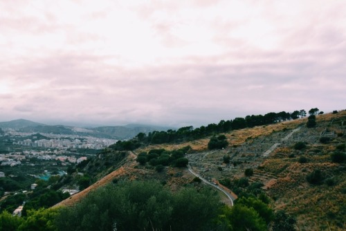 smallyabroad:Soluntum, a little Phoenician town on the island of Sicily… lovely ruins and a very ste