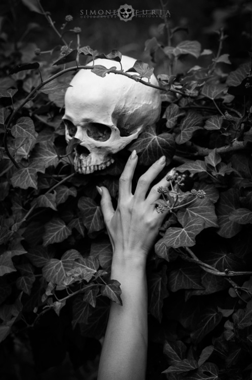 sinners-club:♠ come and sin? ♠