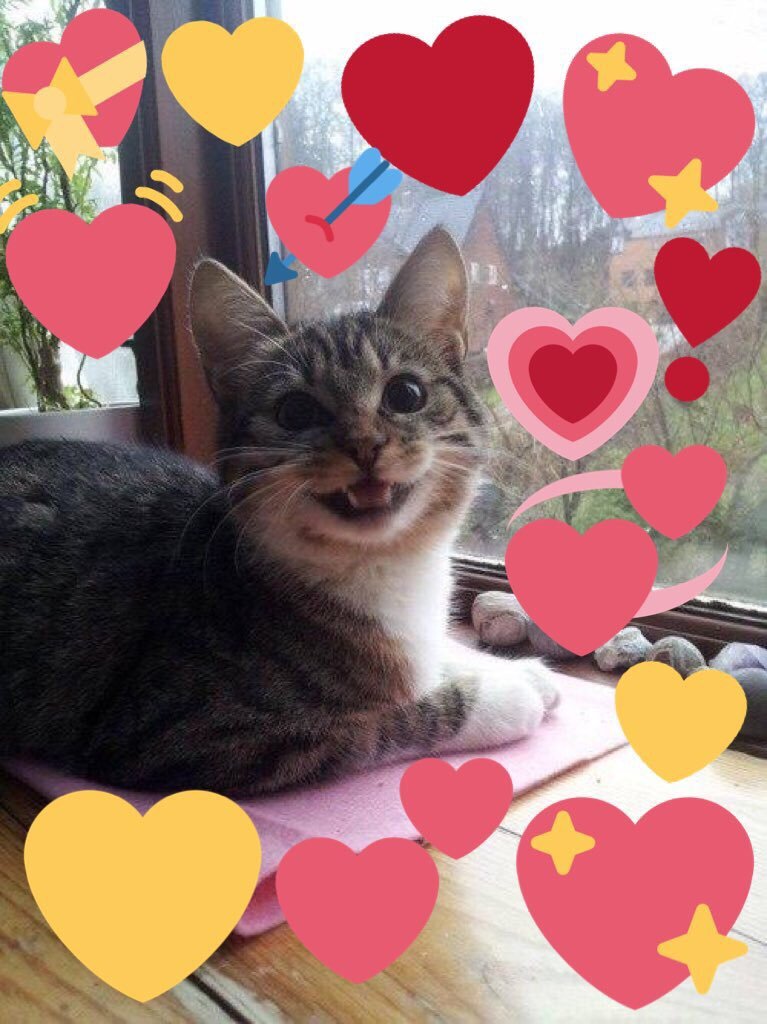 softwaring: mood