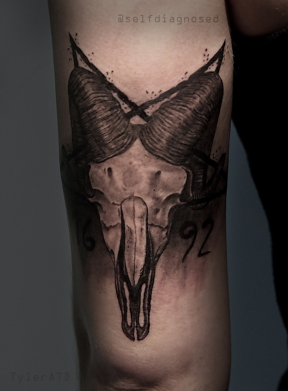 Goat Skull Tattoo Design | Goat skull, Cow skull tattoos, Skull girl tattoo