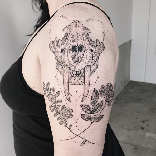 Sabertooth cat skull with lingonberry and elderflower by Pony Reinhardt at Tenderfoot Studio in Broo