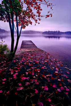 coiour-my-world:The jetty