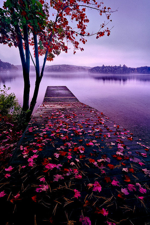 Porn coiour-my-world:The jetty photos