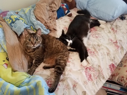 She got caught cuddling with her little brother! (She usually acts like she completely hates him, lo