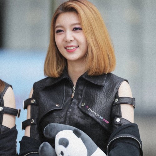 Dami icons *:.•♢°