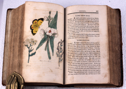 worn early 19th century Herbal with 50 hand coloured engraved plates Printed in Halifax c1815