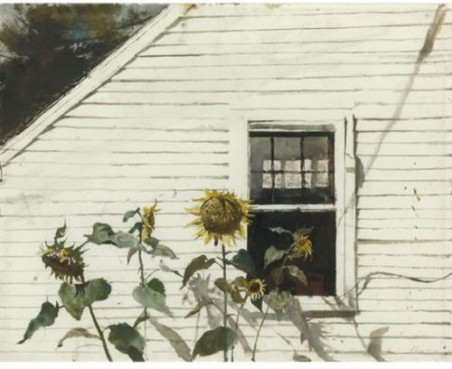 Andrew WyethSunflowers1982