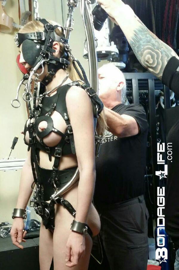 rebecca-wilcox: greyhoundsowner:  greyhound is prepped for her stint as a pony girl