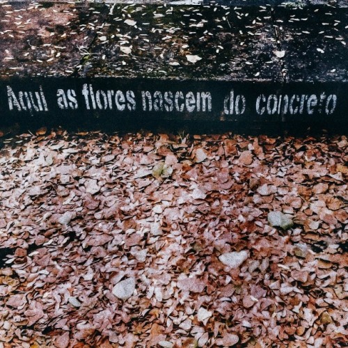 poesia carbonizada