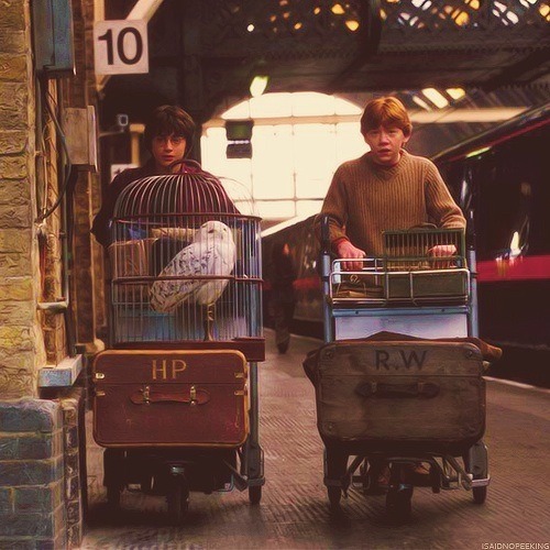 magic-tributes-from-district9-34:  Harry Potter and Ronald Weasley.