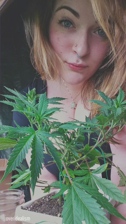 overidealism:  plant friends 
