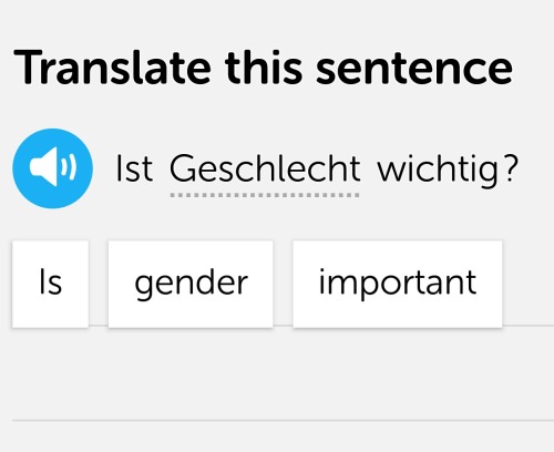 autling:Look at my German Duolingo bringing the real questions