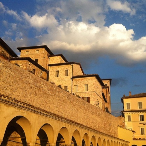 Light in the piazza below the Basilica of San Francesco. ~~~ See for yourself this August—come