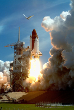 humanoidhistory: TODAY IN HISTORY: A spectacular view of the Space Shuttle Atlantis blasting off from Cape Canaveral, Florida, on August 2, 1991.