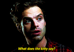 Oh my Sebastian Stan