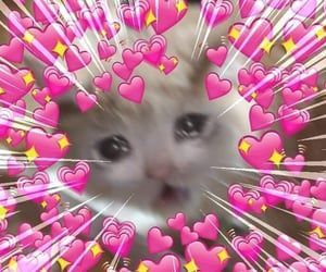 Hello! This Is Your Monthly Positivity Mail :)
