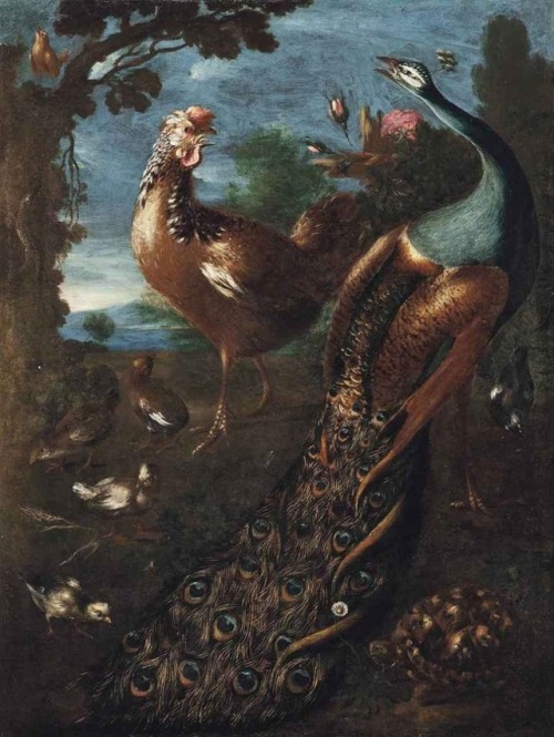 Marmaduke Craddock (1660 - 1717)“A peacock, a cockerel, a tortoise and other birds in a landscape”