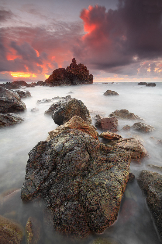 sundxwn:  Out, Into The Wild by Raquel de Castro  more +here+