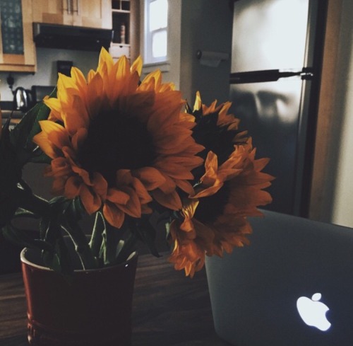 troyleryay:@ConnorFranta: im not sure what the color yellow feels like but today feels like the colo