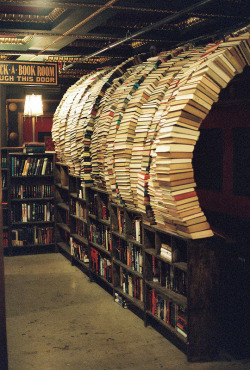 youllremainmyhumbleservant:  impling:  a photo from the Last Bookstore. it is awesome.  Invariably, the one book that I will want to read would be load-bearing.  Devotional Training: Load-Bearing Books Authored by Murphy.