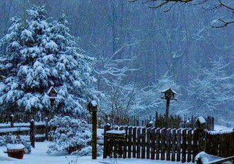Poem Today — A poem by Lisel Mueller