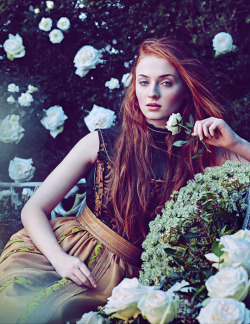 adamdrivers: Sophie Turner photographed by