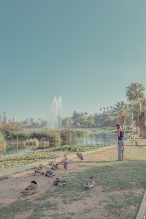 archatlas: Angels In the words of the artist Franck Bohbot: “Almost everyone has some idea of what Los Angeles is, even if they’ve never been there. Home to Hollywood, the city churns out myth after American myth. Some see the city as a necessary
