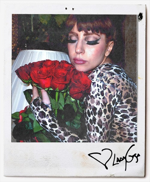 season666:  Lady Gaga x Terry Richardson {Princess High Era} 