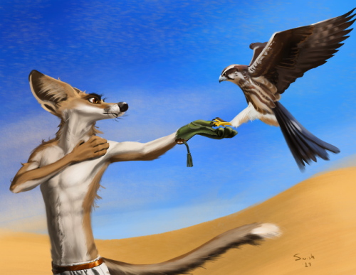 a fox with, apparently, a happy trail, catching a falcon.This guy is an arabian red fox, something I