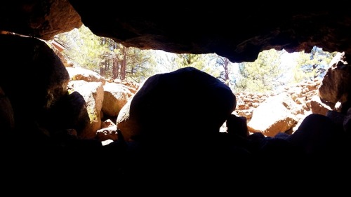 roosaurusrin:Lava River Cave near Flagstaff, Arizona. This lava tube was likely formed through a ven